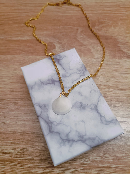 Collier de coquillages